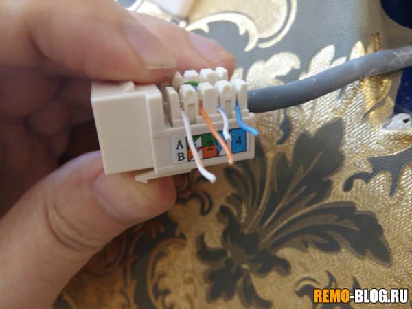 Как подключить кабель интернета к розетке