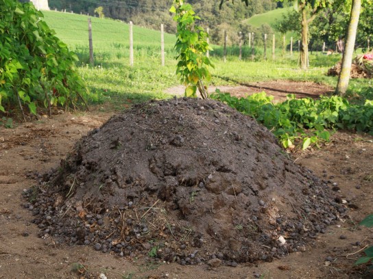 Как правильно сделать компостную яму