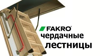 Обзор чердачных лестниц Fakro