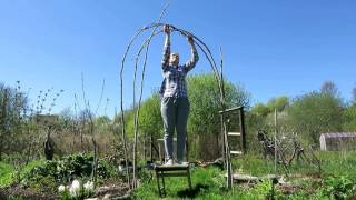 садовая АРКА своими руками / Garden arch from willow twigs