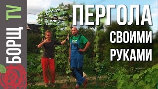 Пергола из дерева своими руками | Делаем перголу для винограда на даче