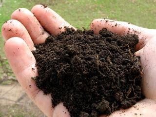 Как определить состав и плодородие почвы на даче